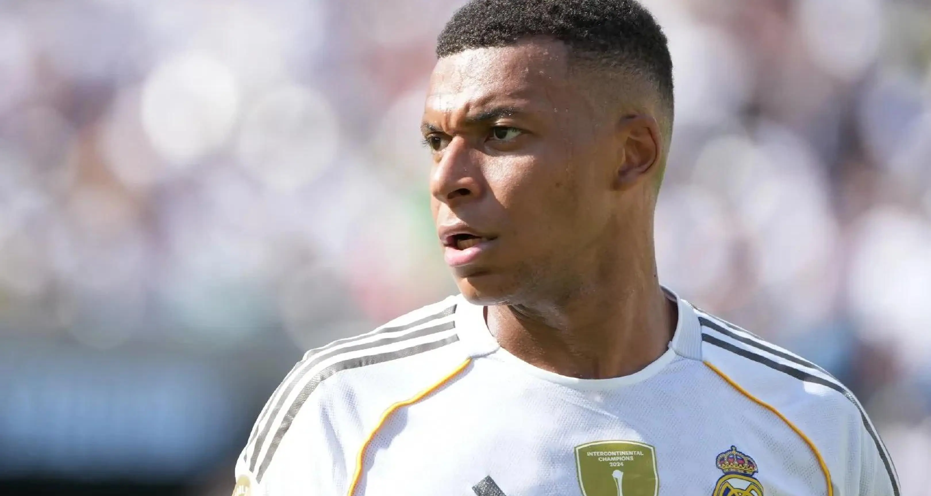 msn, 份从未夺得, 说呢 msn, 份从未夺得, 说呢