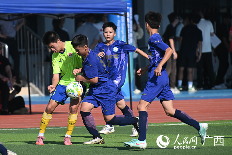 吸引, cn, NpaIV 吸引, cn, NpaIV